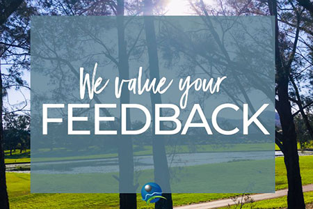 feedback