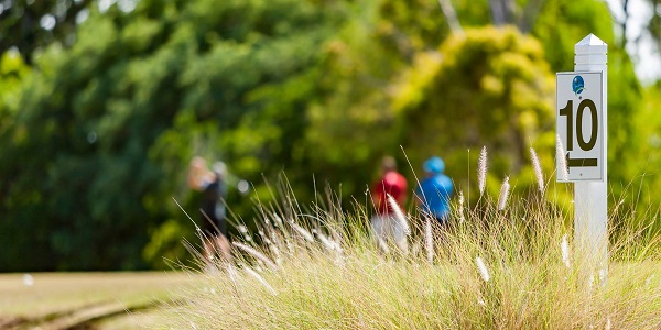 non-members, golf visitors 